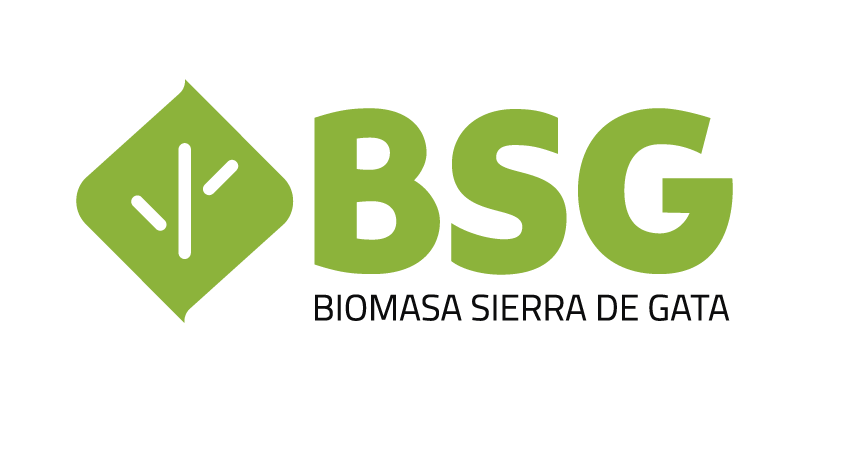 BSG
